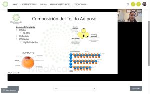 Composición del tejido adiposos Med Academy