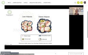 Composición del tejido adiposos Med Academy